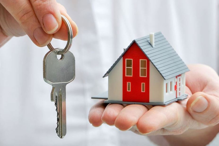 real estate agent