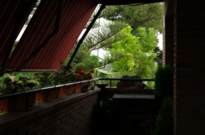 canopy cleaning